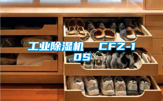 工業(yè)除濕機(jī) CFZ-10S