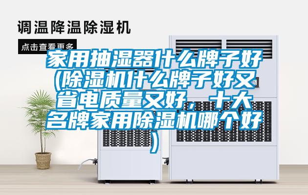 家用抽濕器什么牌子好(除濕機什么牌子好又省電質量又好，十大名牌家用除濕機哪個好)