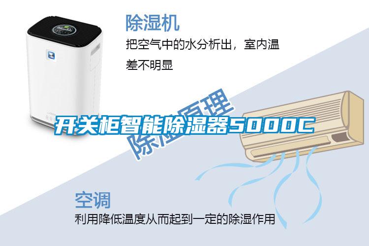開關(guān)柜智能除濕器5000C