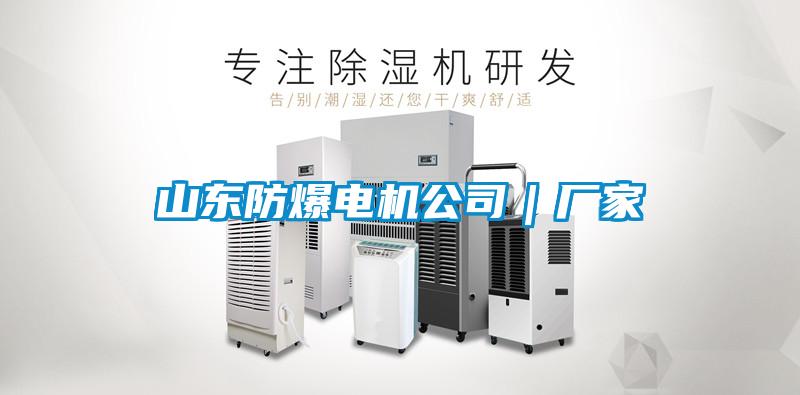 山東防爆電機公司｜廠家