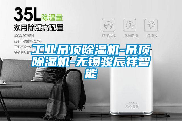 工業吊頂除濕機-吊頂除濕機-無錫駿辰祥智能