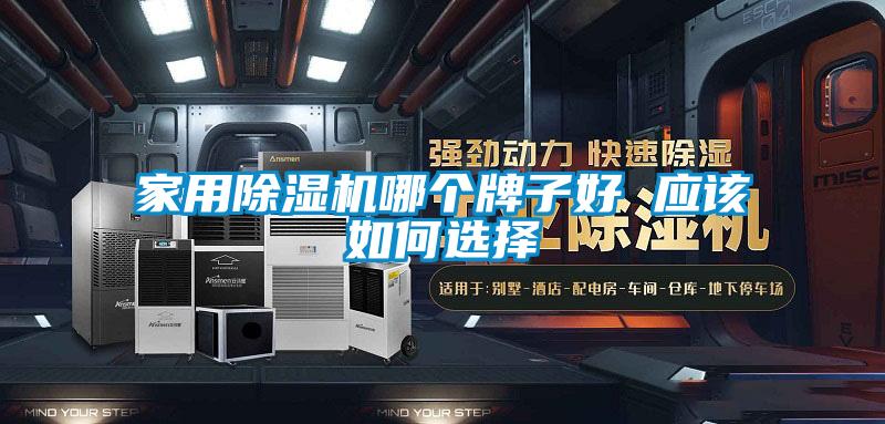 家用除濕機哪個牌子好 應該如何選擇