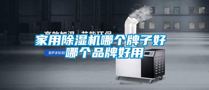 家用除濕機哪個牌子好 哪個品牌好用