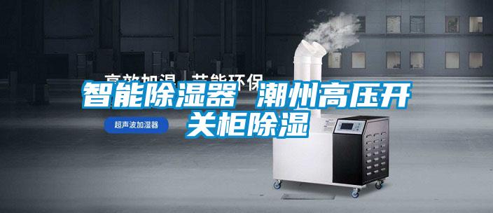 智能除濕器 潮州高壓開(kāi)關(guān)柜除濕