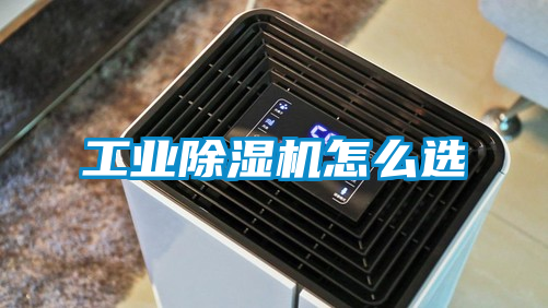 工業除濕機怎么選