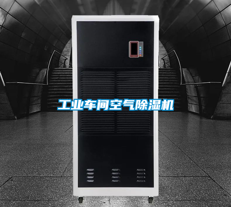 工業(yè)車間空氣除濕機(jī)