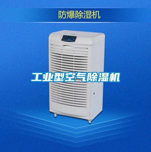 工業(yè)型空氣除濕機(jī)