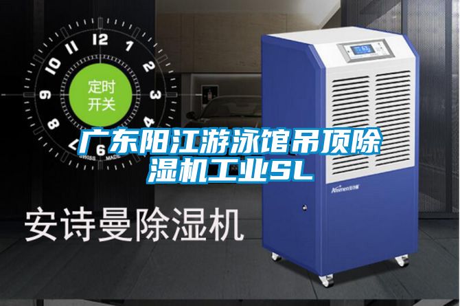 廣東陽江游泳館吊頂除濕機工業SL