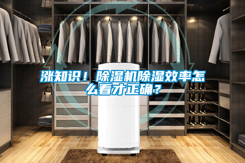 漲知識！除濕機除濕效率怎么看才正確？