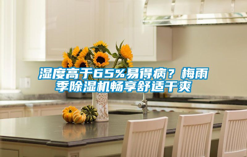 濕度高于65%易得病？梅雨季除濕機暢享舒適干爽