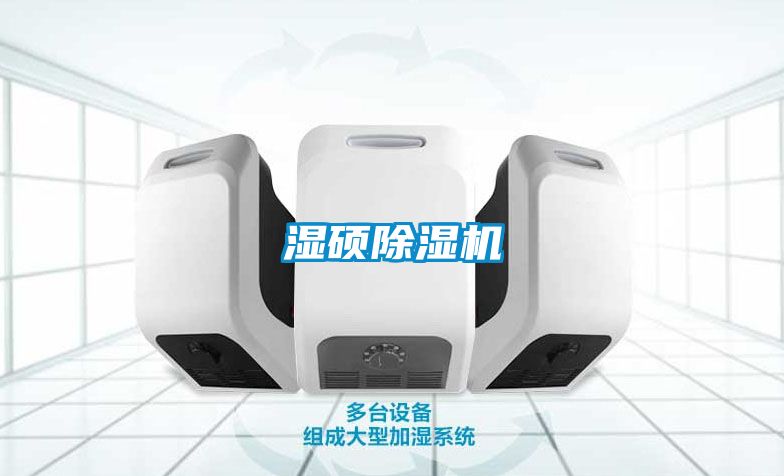 濕碩除濕機