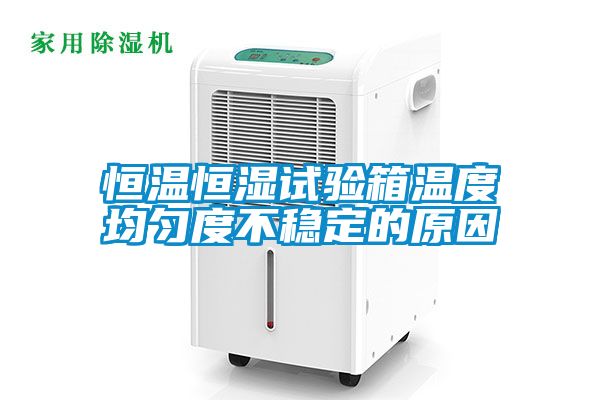 恒溫恒濕試驗箱溫度均勻度不穩定的原因