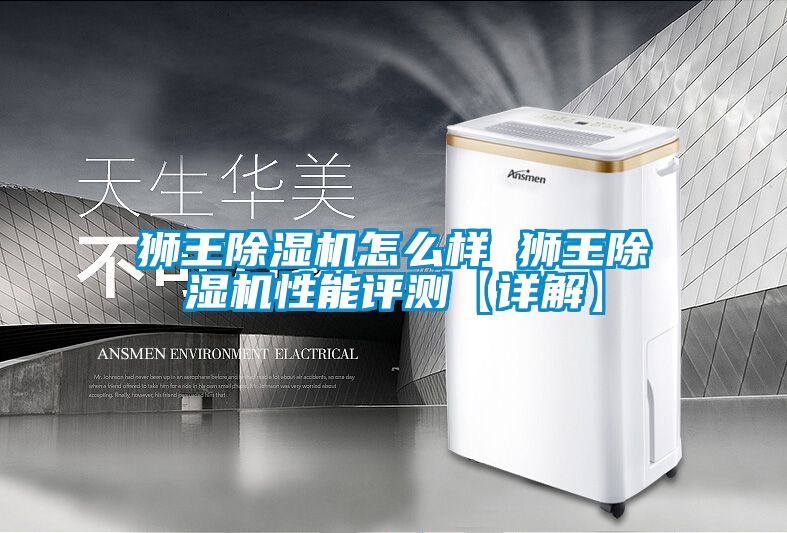 獅王除濕機怎么樣 獅王除濕機性能評測【詳解】