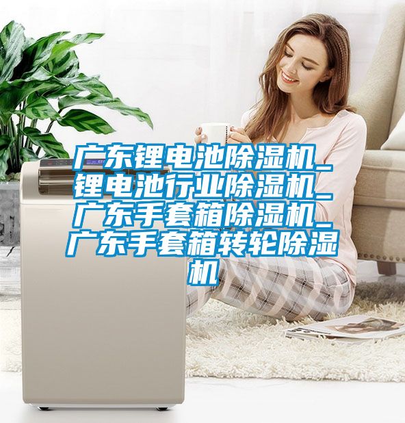 廣東鋰電池除濕機_鋰電池行業除濕機_廣東手套箱除濕機_廣東手套箱轉輪除濕機
