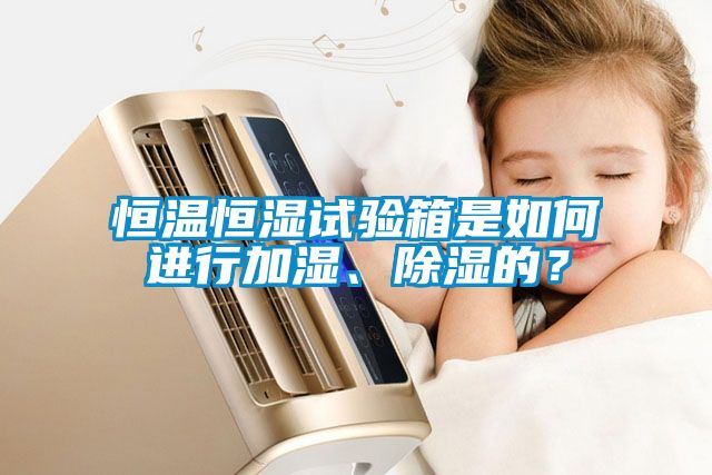 恒溫恒濕試驗箱是如何進行加濕、除濕的?