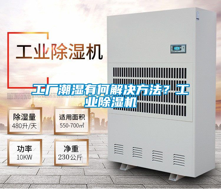 工廠潮濕有何解決方法？工業除濕機