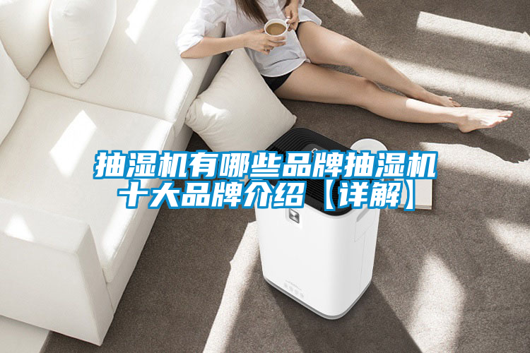 抽濕機(jī)有哪些品牌抽濕機(jī)十大品牌介紹【詳解】