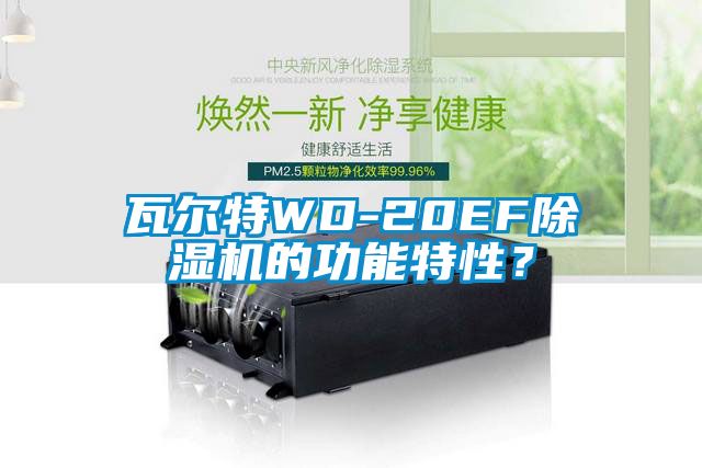 瓦爾特WD-20EF除濕機的功能特性?