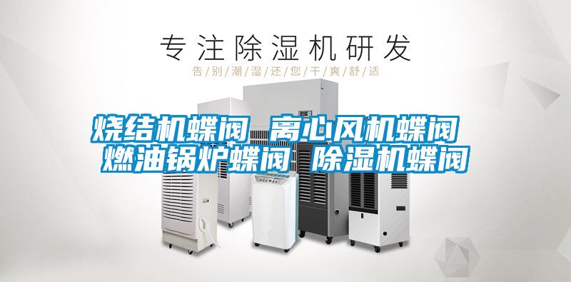 燒結機蝶閥 離心風機蝶閥 燃油鍋爐蝶閥 除濕機蝶閥