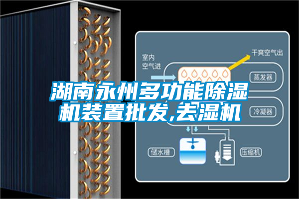 湖南永州多功能除濕機(jī)裝置批發(fā),去濕機(jī)