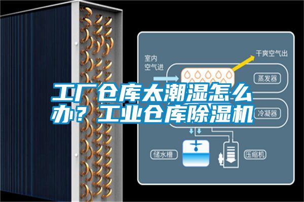 工廠倉庫太潮濕怎么辦?工業倉庫除濕機