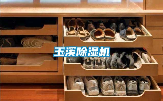 玉溪除濕機(jī)