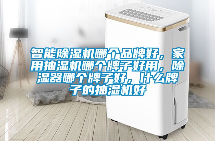 智能除濕機哪個品牌好，家用抽濕機哪個牌子好用，除濕器哪個牌子好，什么牌子的抽濕機好