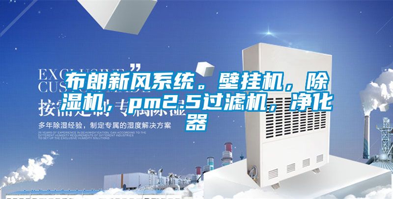 布朗新風系統。壁掛機，除濕機，pm2.5過濾機，凈化器