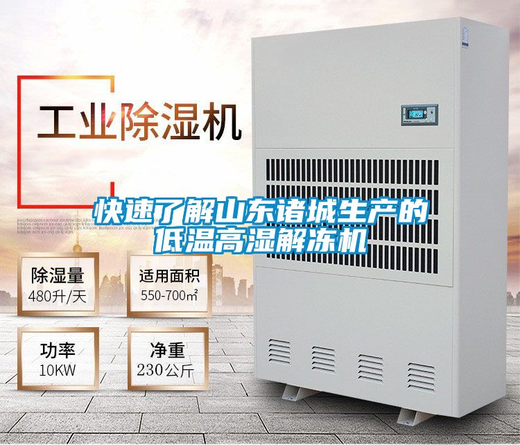 快速了解山東諸城生產(chǎn)的低溫高濕解凍機