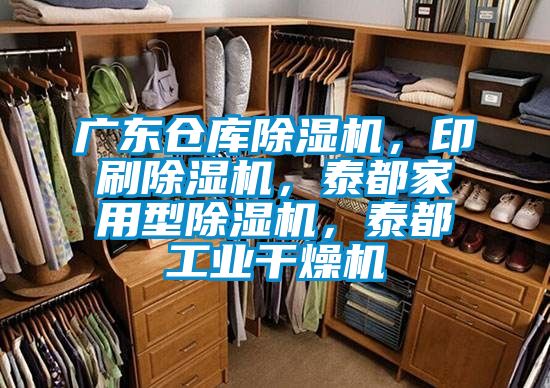 廣東倉庫除濕機,印刷除濕機,泰都家用型除濕機,泰都工業干燥機