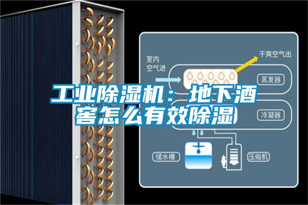 工業(yè)除濕機：地下酒窖怎么有效除濕