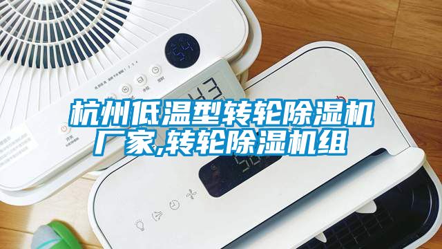 杭州低溫型轉輪除濕機廠家,轉輪除濕機組