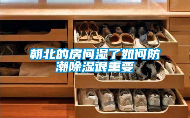 朝北的房間濕了如何防潮除濕很重要