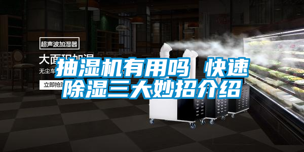 抽濕機有用嗎 快速除濕三大妙招介紹