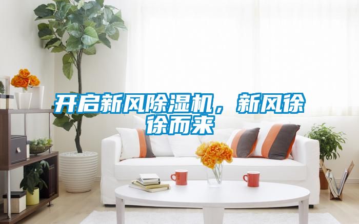 開啟新風除濕機,新風徐徐而來