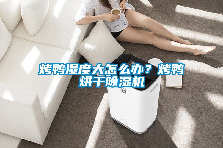 烤鴨濕度大怎么辦?烤鴨烘干除濕機(jī)