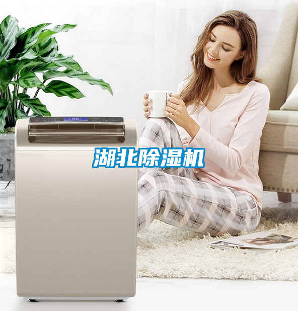 湖北除濕機