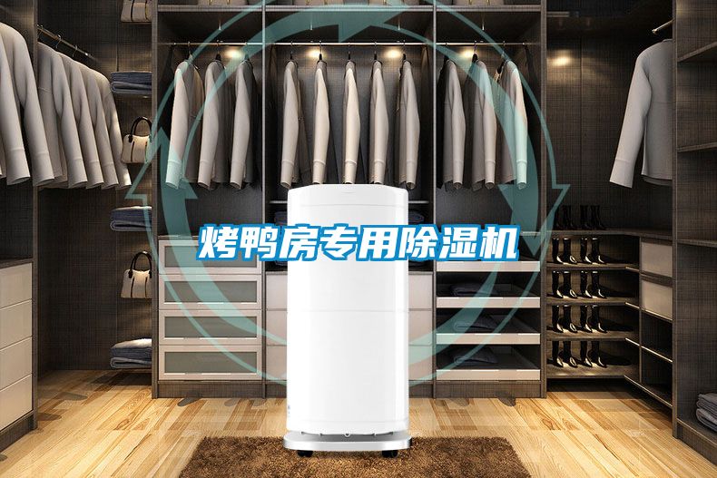 烤鴨房專用除濕機(jī)