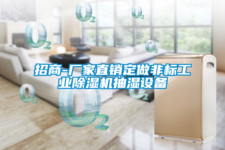 招商-廠家直銷定做非標工業除濕機抽濕設備
