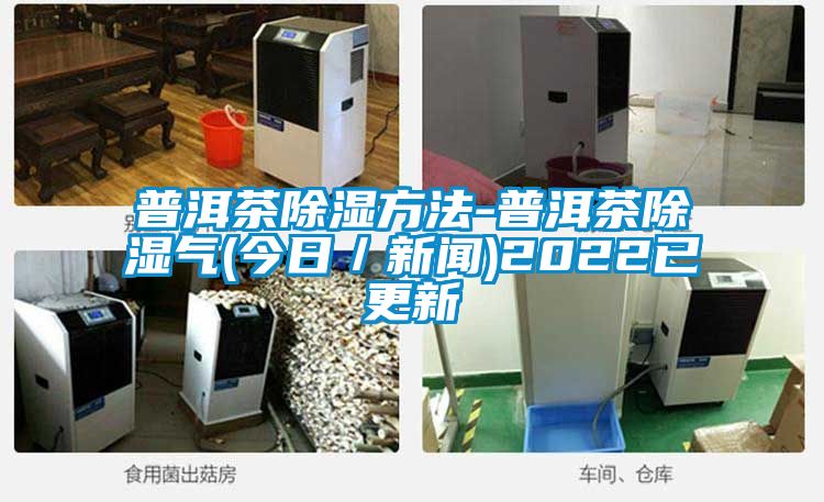 普洱茶除濕方法-普洱茶除濕氣(今日/新聞)2022已更新