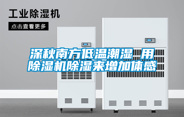 深秋南方低溫潮濕 用除濕機除濕來增加體感