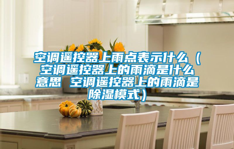 空調(diào)遙控器上雨點(diǎn)表示什么（空調(diào)遙控器上的雨滴是什么意思 空調(diào)遙控器上的雨滴是除濕模式）