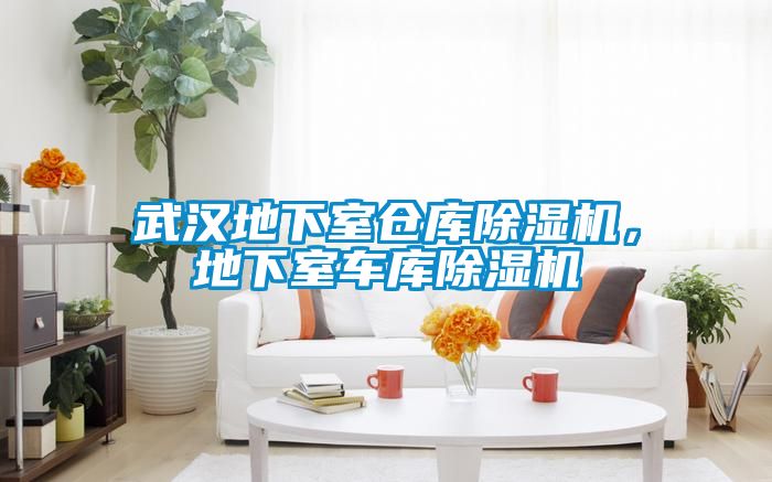 武漢地下室倉庫除濕機,地下室車庫除濕機