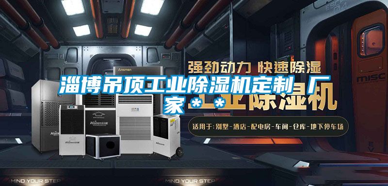 淄博吊頂工業除濕機定制 廠家**