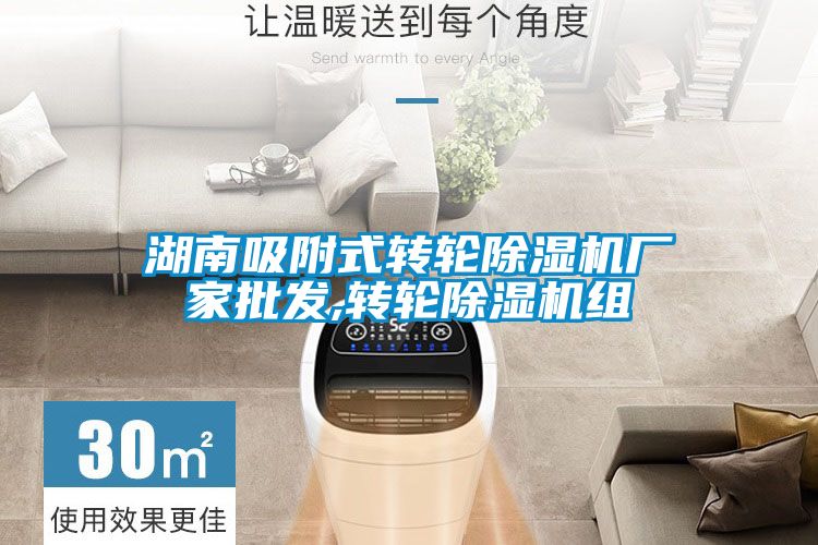 湖南吸附式轉輪除濕機廠家批發,轉輪除濕機組