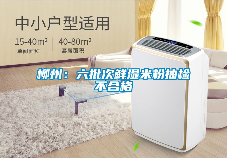 柳州:六批次鮮濕米粉抽檢不合格