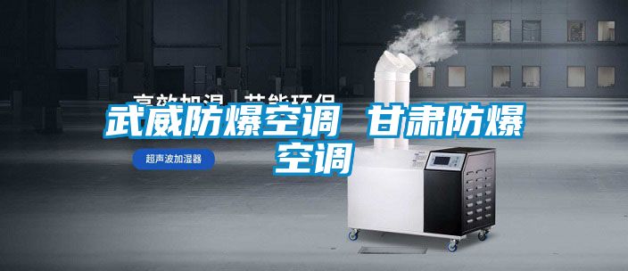 武威防爆空調 甘肅防爆空調