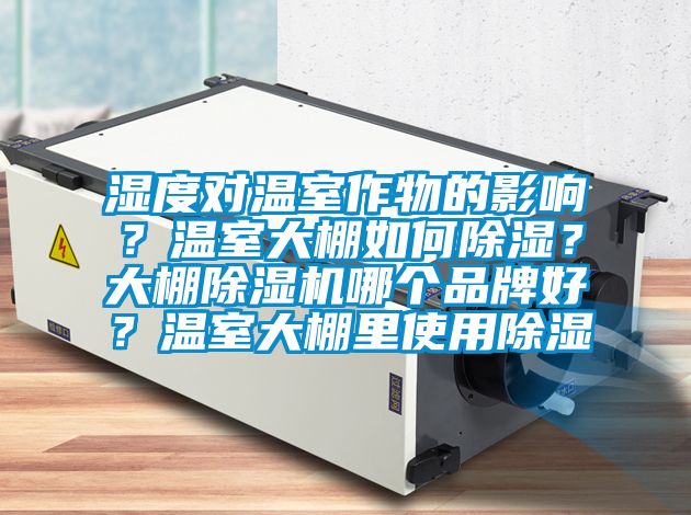 濕度對溫室作物的影響?溫室大棚如何除濕?大棚除濕機哪個品牌好?溫室大棚里使用除濕