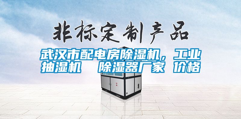 武漢市配電房除濕機，工業抽濕機  除濕器廠家 價格