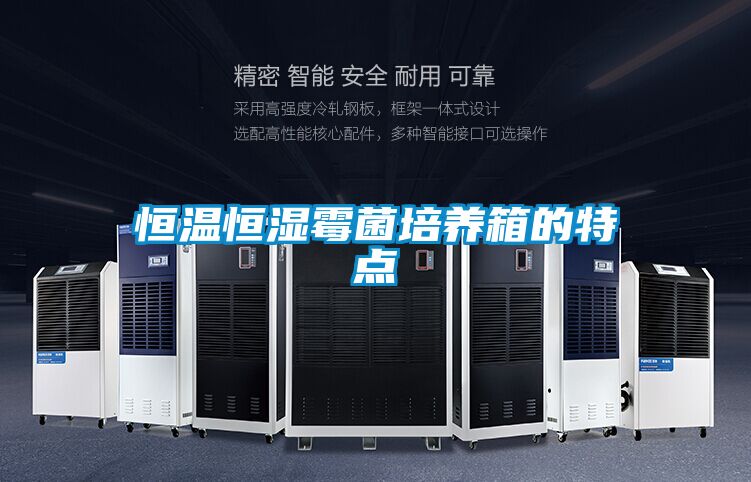 恒溫恒濕霉菌培養箱的特點